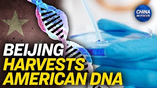 79 Percent Of Us Biotech Firms Contract With Chinese Firms | Trailer | China In Focus