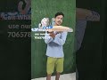 CEAT English willow bat hard hitting special bat heavy profile #bats #cricket #cricketbatsonline