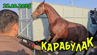 картинка: КАРАБУЛАК МАЛ БАЗАР.ЖЫЛҚЫ БАҒАСЫ