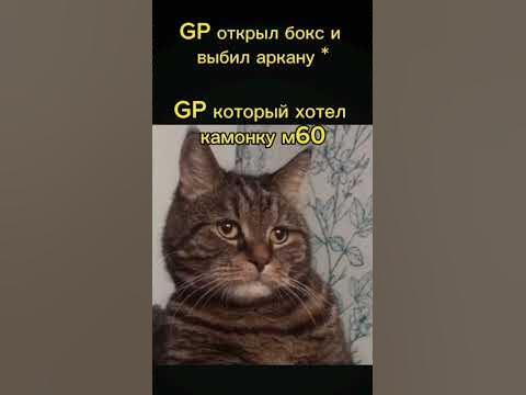 Грусный кот 😓 #рекомендации #so2 #standoff2 #youtubeshorts #standoff # ...