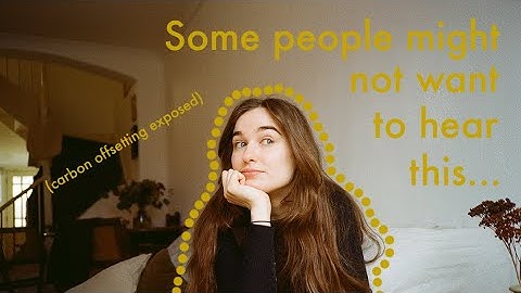 Should I offset my flight? | Everything I know about carbon offsetting