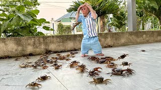 Bibi Was Curious And Panicked When He Saw The Crab