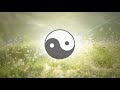 Uplifting Mindfulness and Sleep Music - &quot;The Animating Principle&quot;