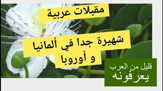 منشط طبيعي و مقبلات يباع في السوبر ماركت بألمانيا يأتي من المغرب وسوريا جربه سيصبح أساسيا في حياتك