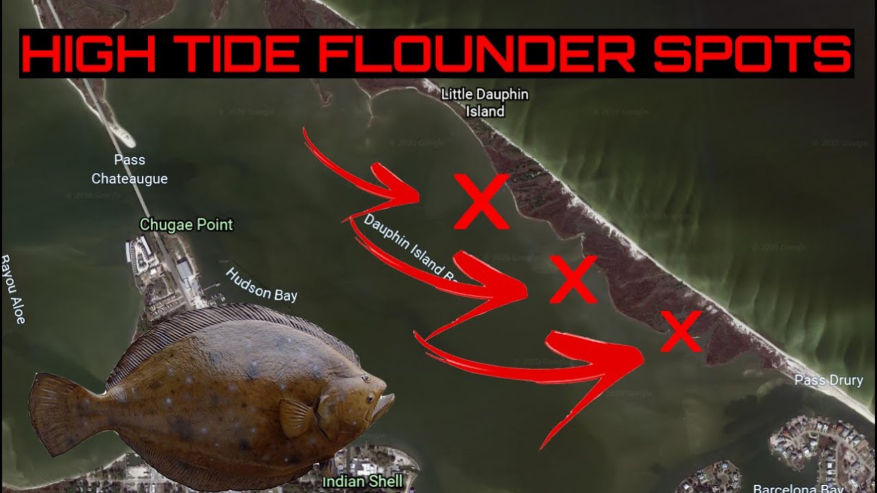 Flounder fishing ( Fluke ) - High Tide Fishing Spots for Flounder