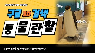 [교사용][에듀테크] 구글3D동물관찰