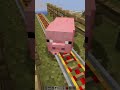 ブタとトロッコを使って空を飛ぶことができる海外の動画は本当か検証してみた！！！【マイクラ】#shorts