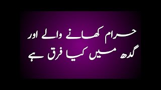 Mardar Khanay Wali Gidah Aur Haram Khanay Walay | مردار کھانے والی گدھ اور حرام کھانے والے