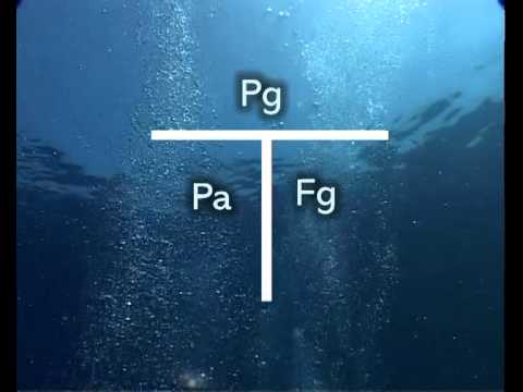 Video: Calcolo della profondità operativa massima per le immersioni subacquee