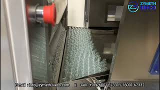 Linear Vial Washing Machine 240 vpm