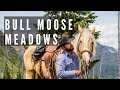 Bull Moose Meadows -----Absaroka Beartooth Wilderness