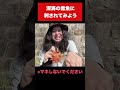 見るからに毒魚やもん