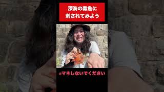 見るからに毒魚やもん