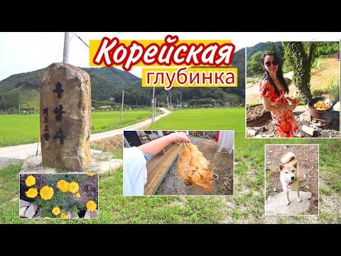 Поймали курицу и приготовили плов на костре ^^ KOREA VLOG