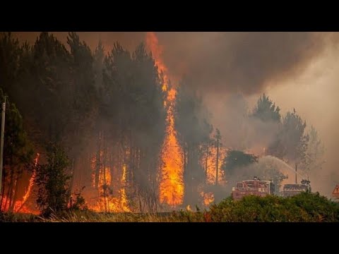 موجة حر استثنائية تجتاح جنوب غرب أوروبا وسط انتشار حرائق الغابات • فرانس 24 / FRANCE 24
