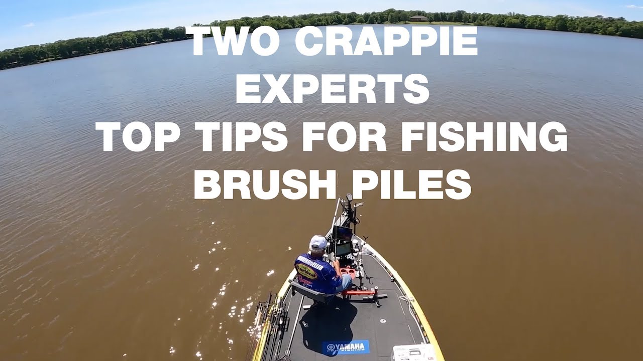 Two Crappie Experts Top Tips for Brush Piles YouTube