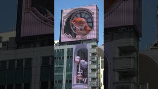 Shibuya Crossing 3D Effect of Akita Dog Billboard!!