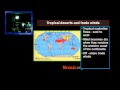 G6/P3: Climatology: Rainfall Types & Wind Types