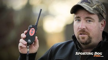 DT Systems H20 Plus Dog Training Collars Review - SportingDogPro.com