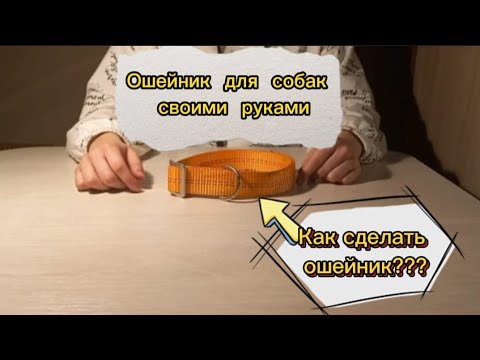 Ошейник для собак своими руками.Ошейник для Дины . Как сделать ошейник для собак