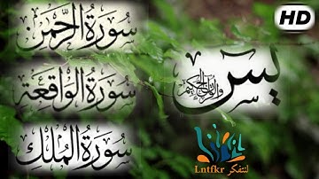 #سور_الرزق_والشفاء  #سورة_يس #سورة_الرحمن #سورة_الواقعة #سورة_الملك