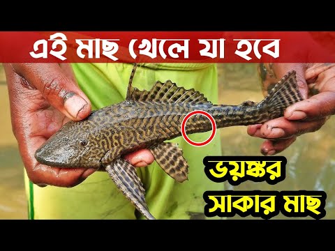 ভিডিও: কী ছড়িয়ে পড়ে