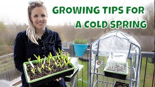 Thriving Gardens in Any UK Weather! Our Cold Spring Hacks for Growing Fruits and Veggies 🌱🌦️ by Georgina Bisby DIY 2,941 views 3 years ago 8 minutes, 29 seconds
