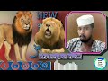 الشاعر عزالدين عبدالوهاب فخر الكبابيش الشاعر عزالدين عبدالوهاب فخر الكبابيش