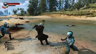The Witcher 3 | Combat & Visual Mods | IT'S PHYSICS