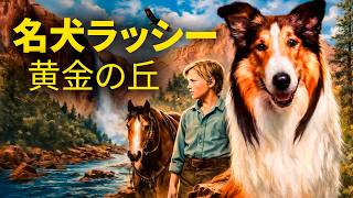 名犬ラッシー 黄金の丘 | 1951 | 日本語字幕付きの冒険映画 - YouTube