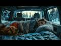 3 Hours Cozy Car Sleep in Snowy Forest ❄️ Rain Sounds for Deep Sleep &amp; Relaxation