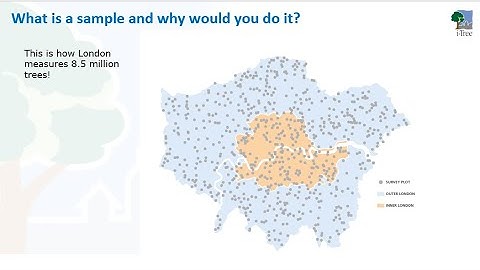 i Tree International Academy 2025, Session 6 - i-Tree Eco project creation  and processing