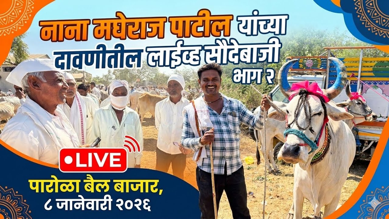 8 मार्च 2026 रविवार live 🔴 पारोळा बैल बाजार || Parola Bail Bajar #बैलबाजारमहाराष्ट्रचा #bailbajar 