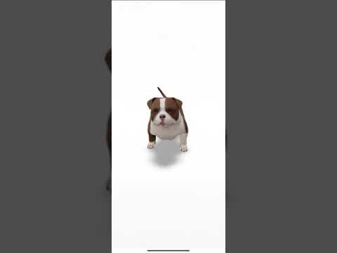 Pitbull Dog 3D View Of Pitbull Dog Pitbull Dog Breed Pitbull