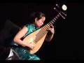 Liu fang pipa solo  the ambush traditional chinese music