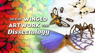 Creating Winged Artwork Using Dissectology