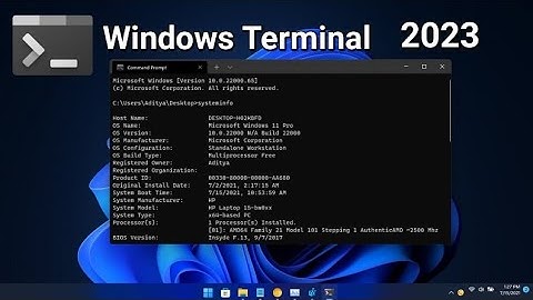 Como Instalar Terminal de Windows (WindowsTerminal) 2025