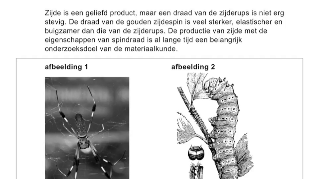 Examen Havo Biologie 2017 Vraag 15 En 16 YouTube