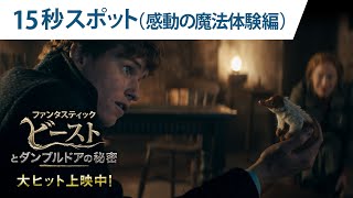 映画『ファンタスティック・ビーストとダンブルドアの秘密』15秒スポット（感動の魔法体験編）大ヒット上映中！