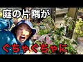 いつも庭の片隅が片付けられない方へ　【園芸超人カーメン君】
