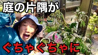 いつも庭の片隅が片付けられない方へ　【園芸超人カーメン君】