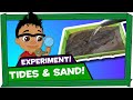 Kid Experiments: Tides & Sand - Darwin and Newts