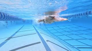 MVN Master Swimming: 6AM Workout - Sprint Day