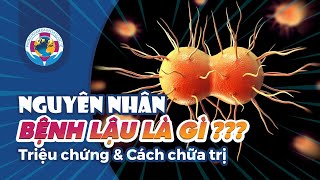 Bệnh Lậu Là Gì ? Những Nguyên Nhân gây Bệnh Lậu : Massage, oral sex ..