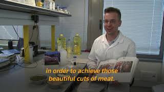 Future of Food: World's first 3D printed plant-based steak