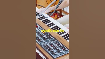 Thumbnail of Synth run incoming... #synth #synthesizer #synthpop
