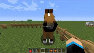 Como Domesticar Um Cavalo - Minecraft