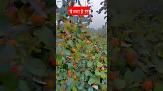 agricultur agricultur motivation kisan modi newsong news