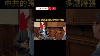 中共的跨境鎮壓有多麼誇張