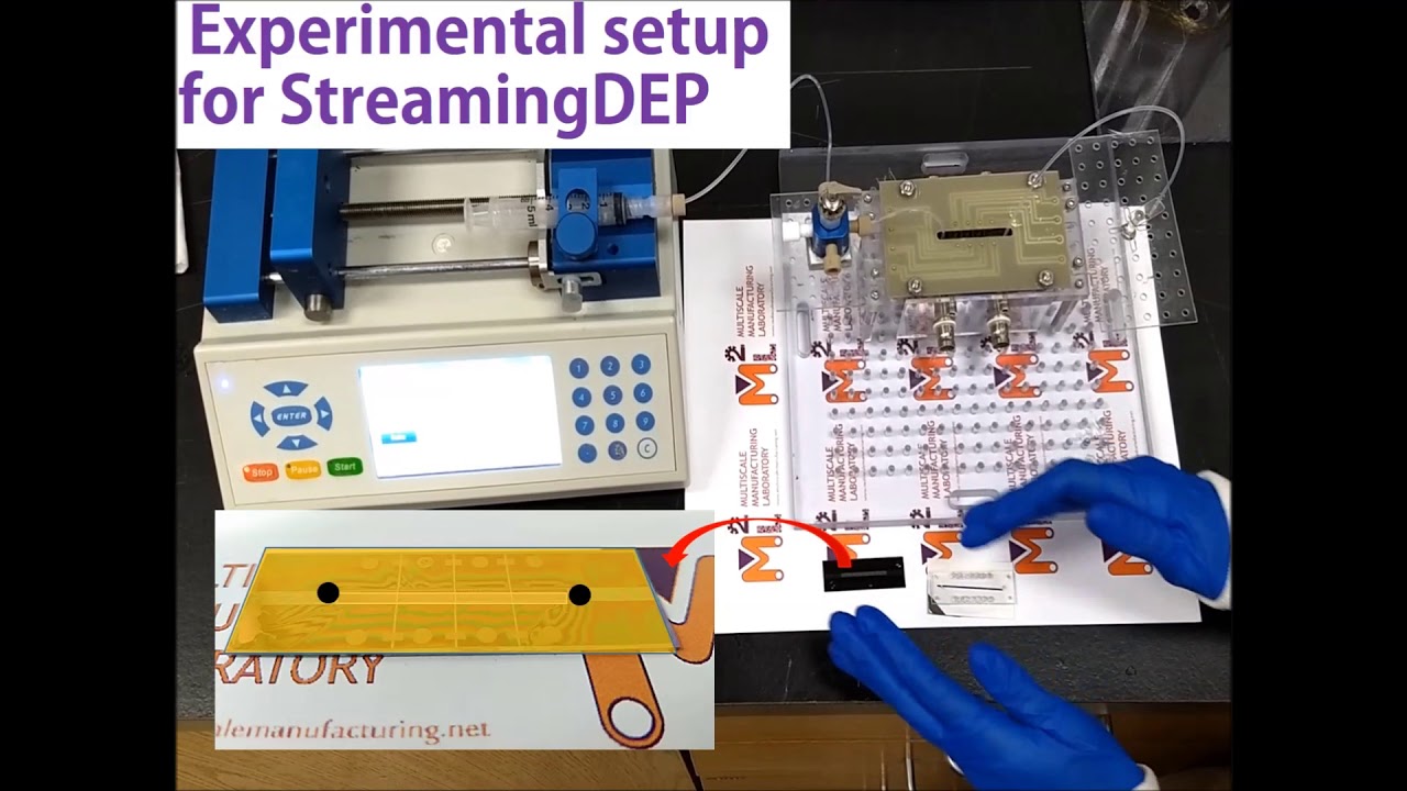 Streaming dielectrophoresis for label free cell sorting - YouTube